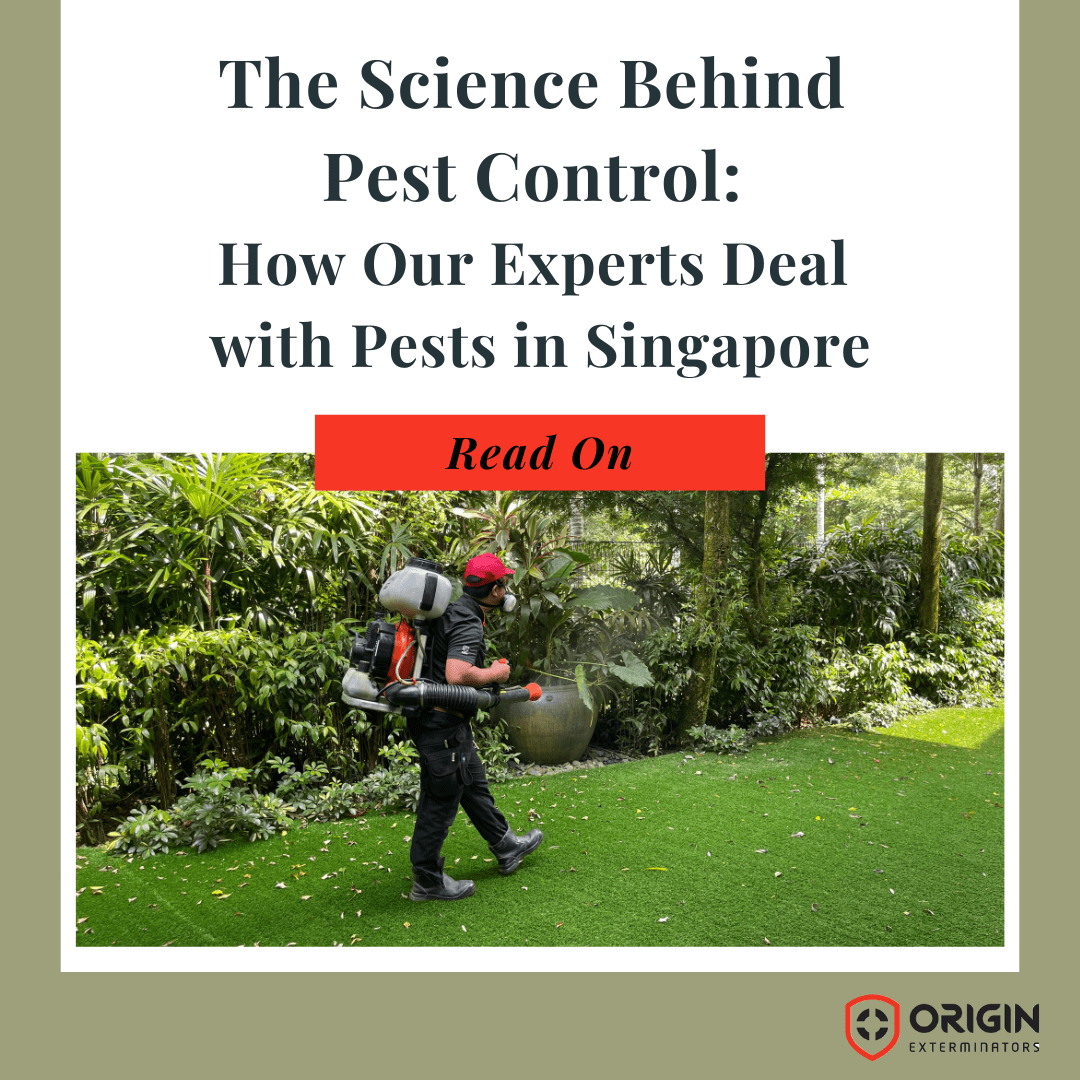 The Science Behind Pest Control How ORIGIN Deals in Singapore